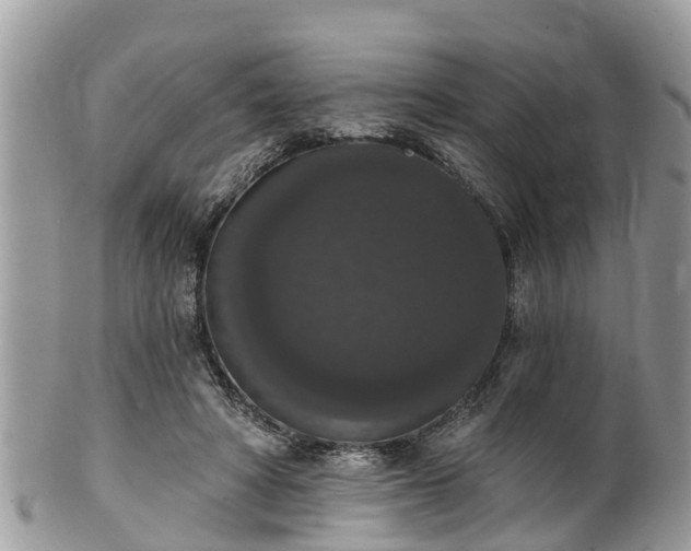 X0000102040402200807251419