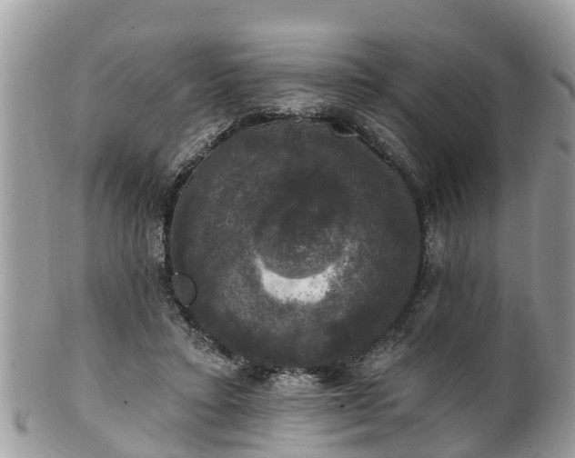 X0000102040403200807251419