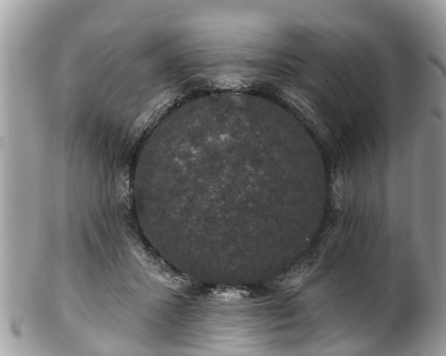 X0000102040407200807251419