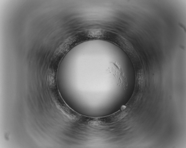 X0000102040408200807251419