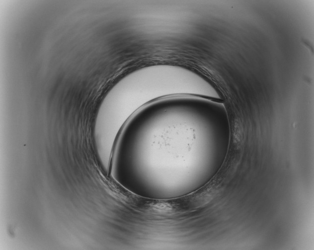 X0000102040409200807251419