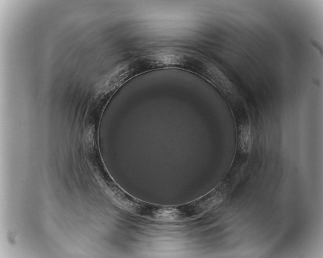 X0000102040410200807251419