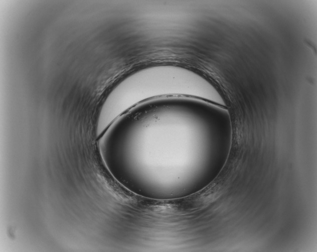 X0000102040411200807251419