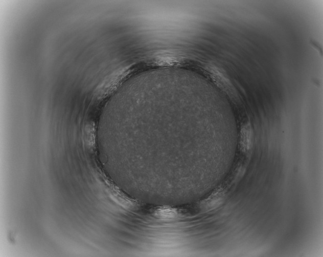 X0000102040413200807251419