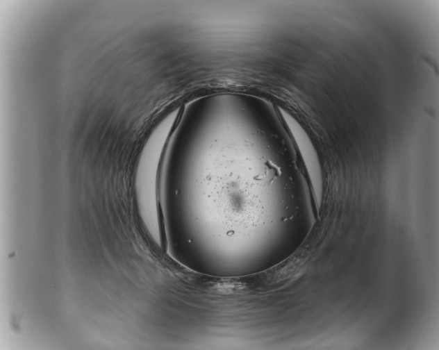 X0000102040415200807251419