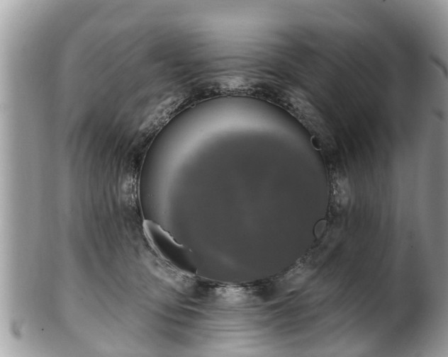 X0000102040419200807251419