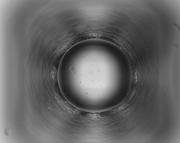 X0000102040424200807251419