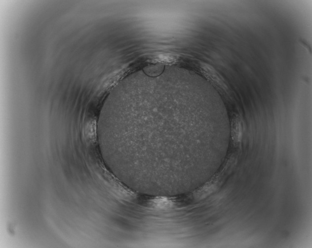 X0000102040425200807251419