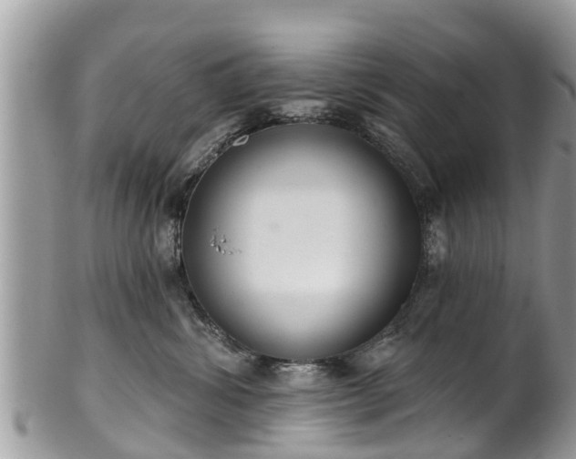 X0000102040428200807251419