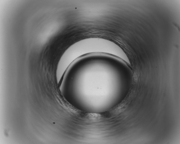 X0000102040429200807251419