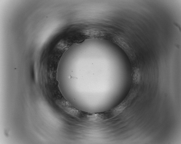 X0000102040430200807251418