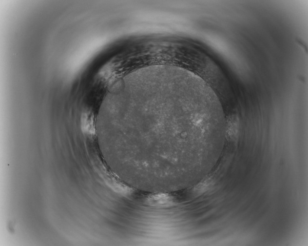 X0000102040431200807251418