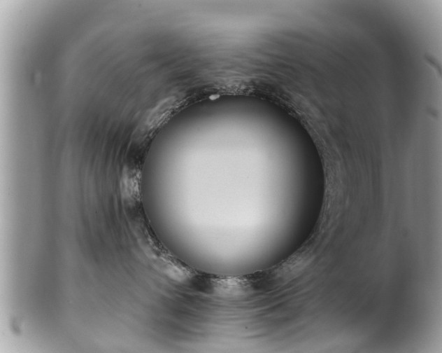 X0000102040432200807251418