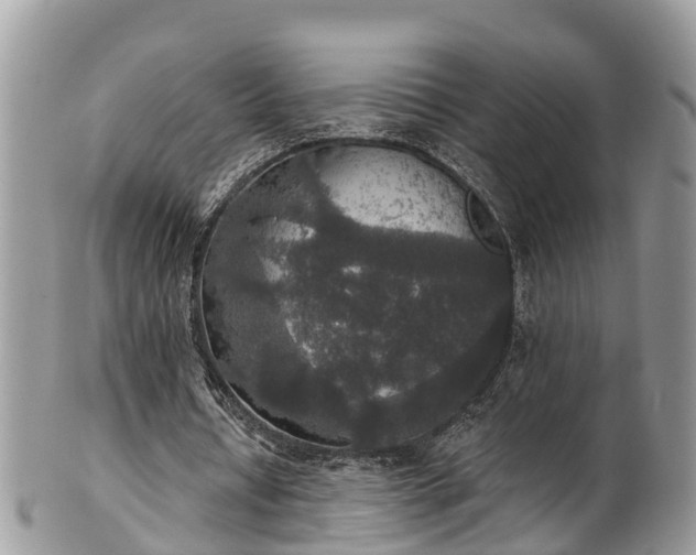 X0000102040434200807251418