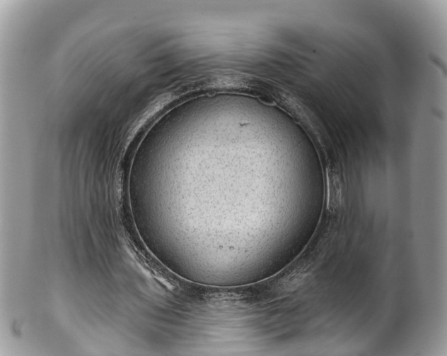 X0000102040435200807251418