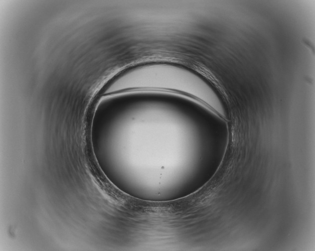 X0000102040436200807251418