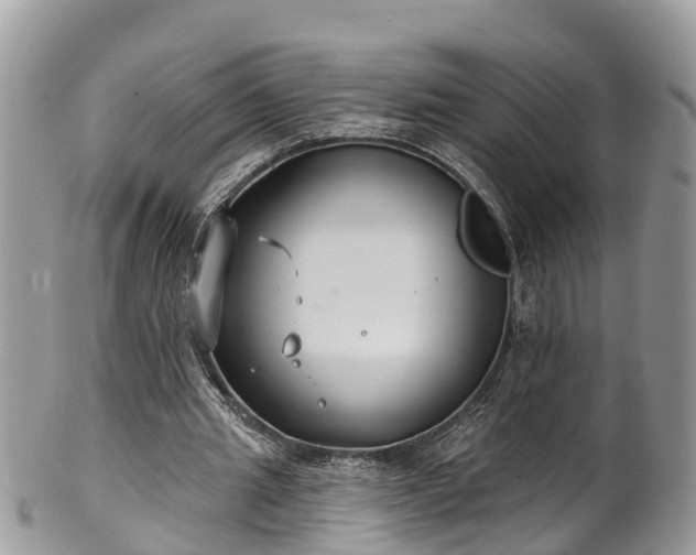 X0000102040437200807251418