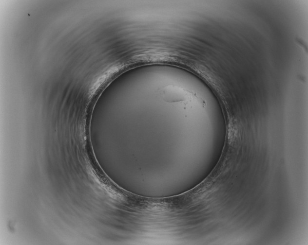 X0000102040438200807251418