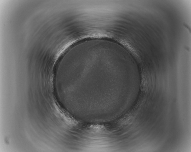 X0000102040440200807251418