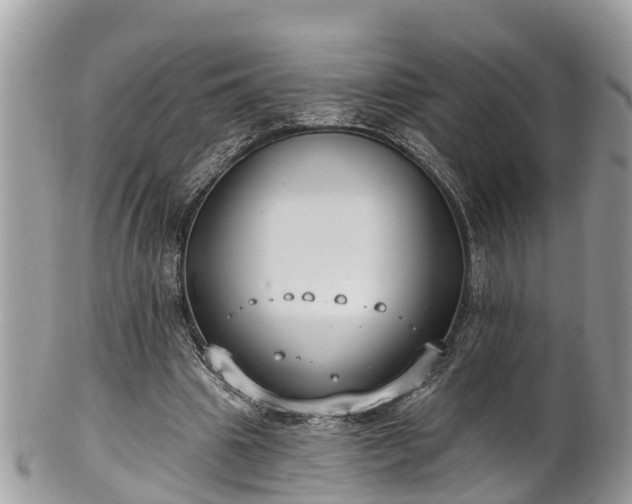 X0000102040441200807251418