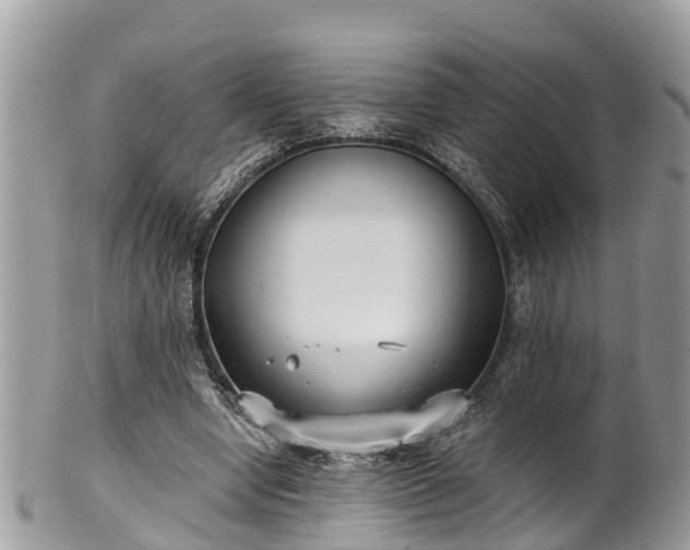 X0000102040442200807251418