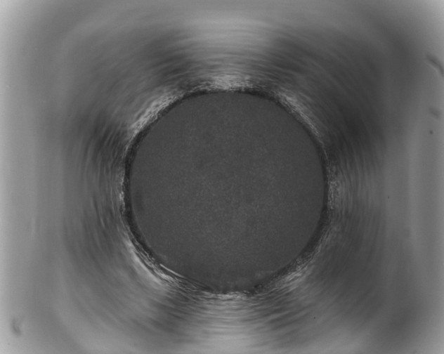 X0000102040443200807251418