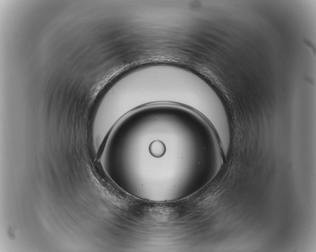 X0000102040444200807251418