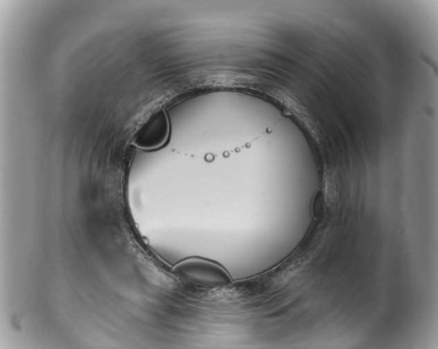 X0000102040445200807251418