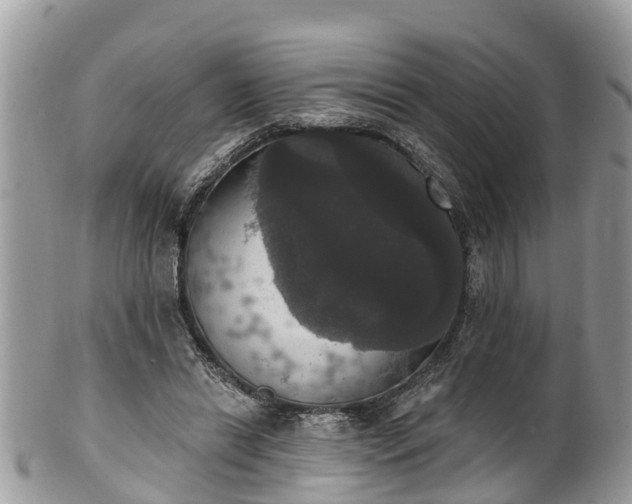 X0000102040446200807251418