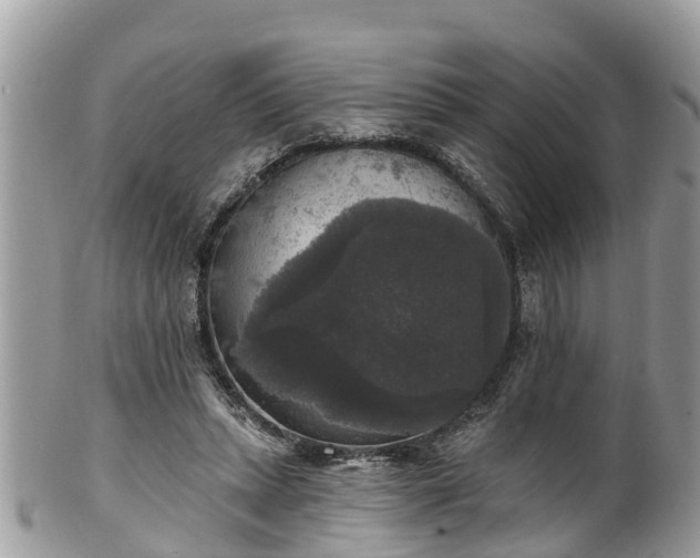 X0000102040447200807251418