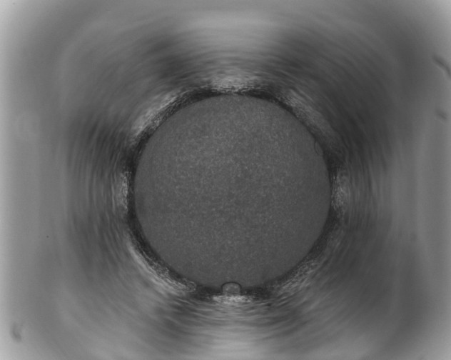 X0000102040448200807251418