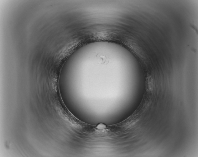 X0000102040450200807251418