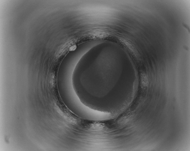 X0000102040451200807251418