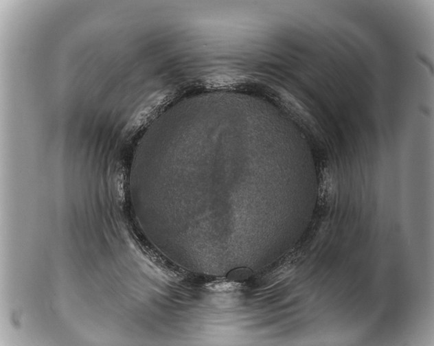 X0000102040452200807251418