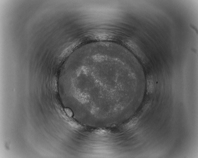 X0000102040453200807251418