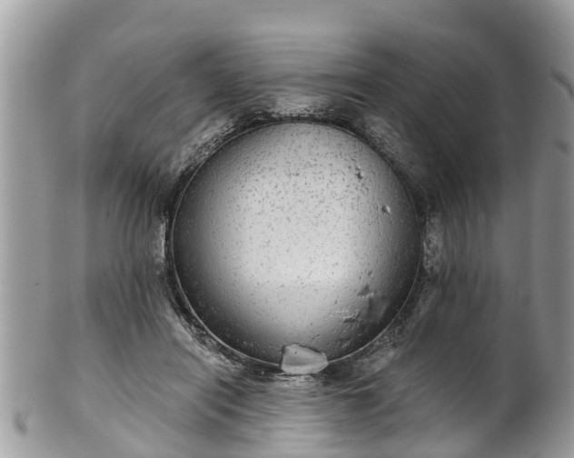 X0000102040454200807251418