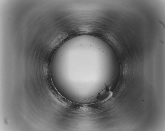 X0000102040455200807251418