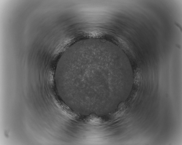 X0000102040456200807251418