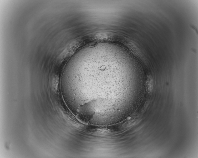 X0000102040458200807251418