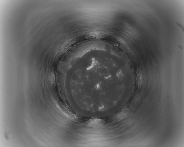 X0000102040459200807251418