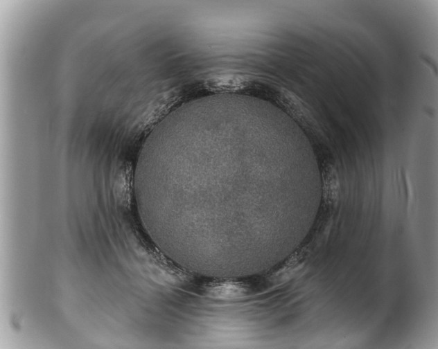 X0000102040460200807251418