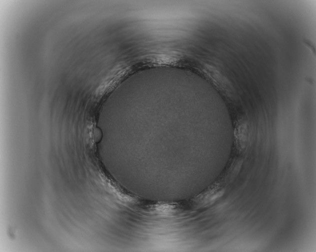 X0000102040462200807251418