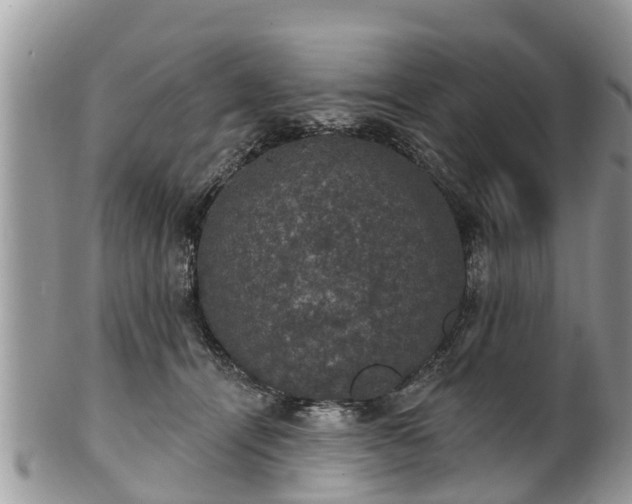 X0000102040464200807251418