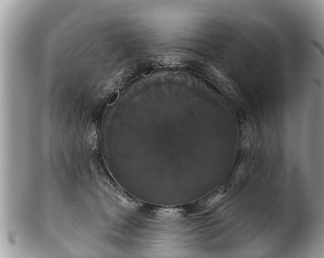 X0000102040465200807251418