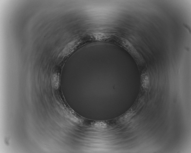 X0000102040471200807251418