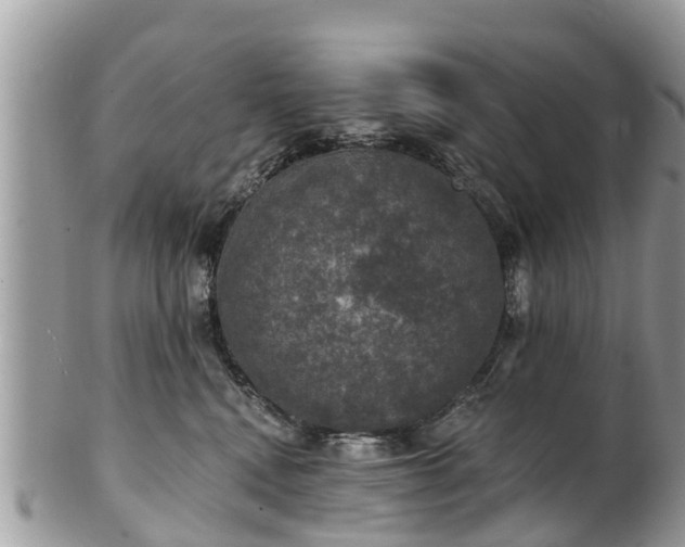 X0000102040472200807251418