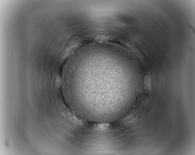 X0000102040474200807251418