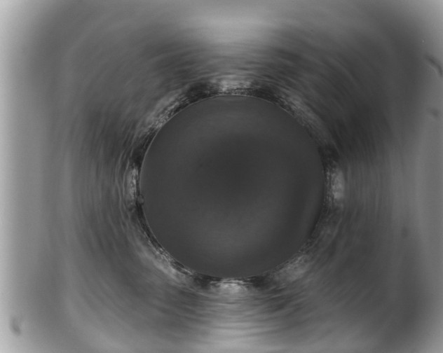 X0000102040475200807251418