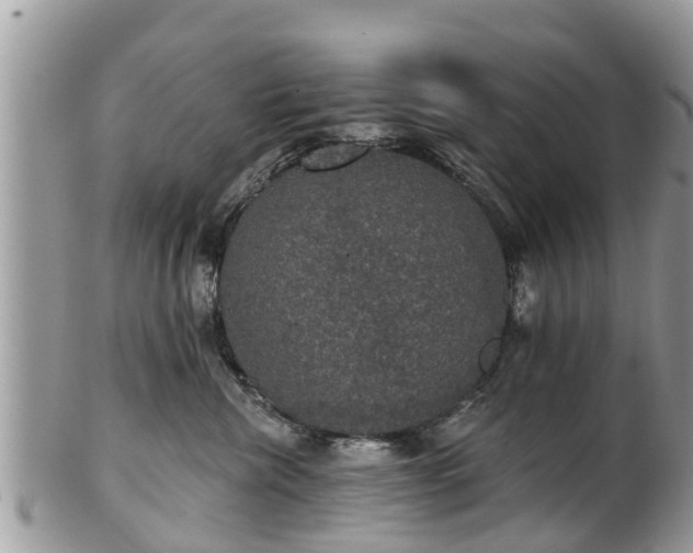 X0000102040476200807251418