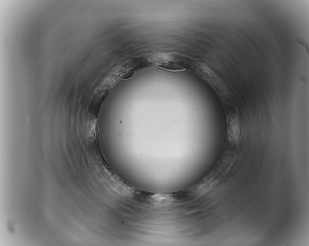 X0000102040477200807251418